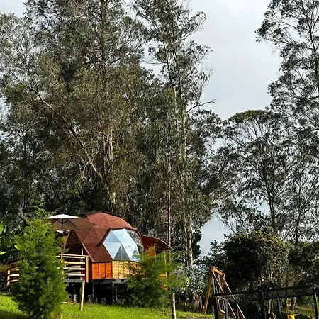 Glamping Shalom-2