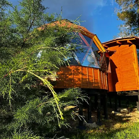 Glamping Shalom-2